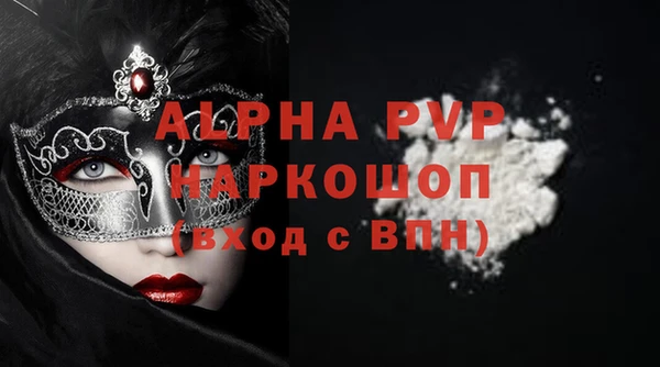 спиды Вяземский