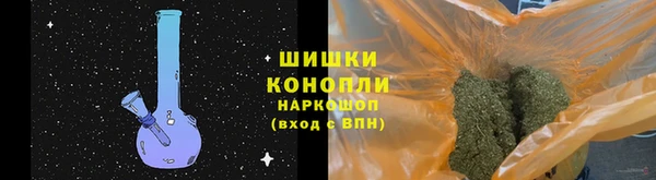 спиды Вяземский