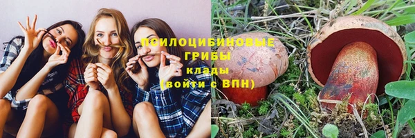 стафф Волоколамск