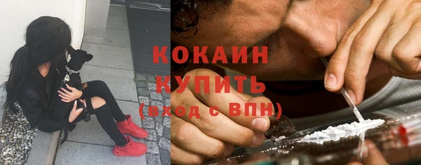 мяу мяу мука Вязьма