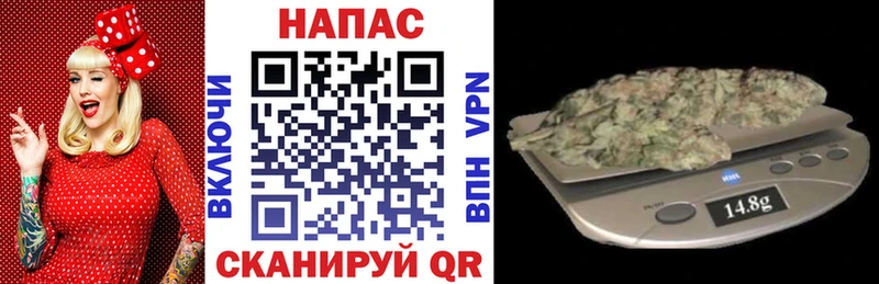 купить закладку  блэк спрут   Марихуана семена  Вилючинск 